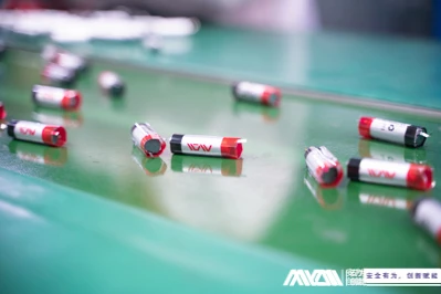نوبل انعام سے لے کر روز مرہ کی زندگی کے ہر کونے تک: لتیم کا جمہوری سفر - آئن ...